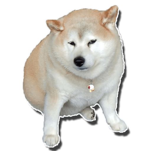 Sticker “Fat Dog-6”