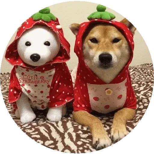 Sticker “Shiba-10”