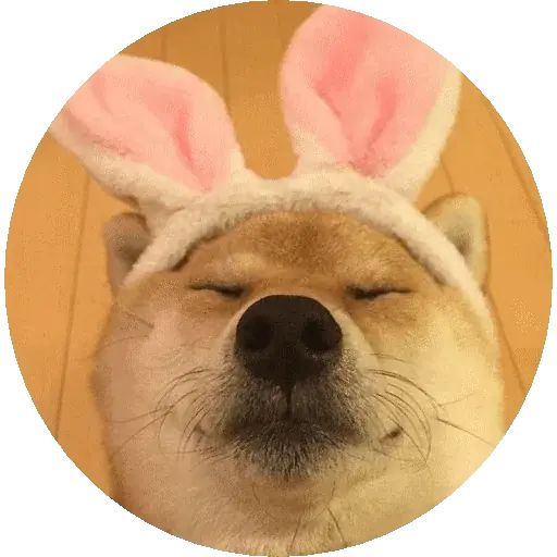 Sticker “Shiba-11”