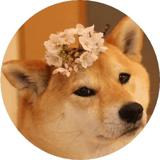 Sticker “Shiba-12”