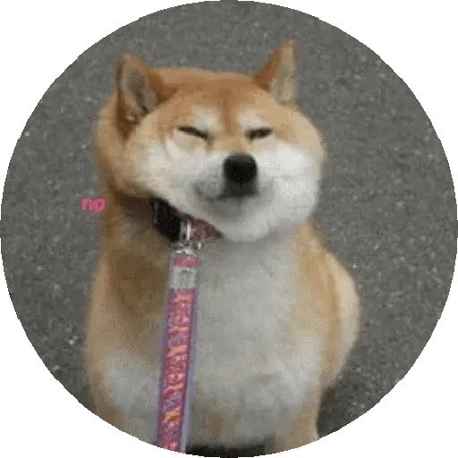 Sticker “Shiba-2”