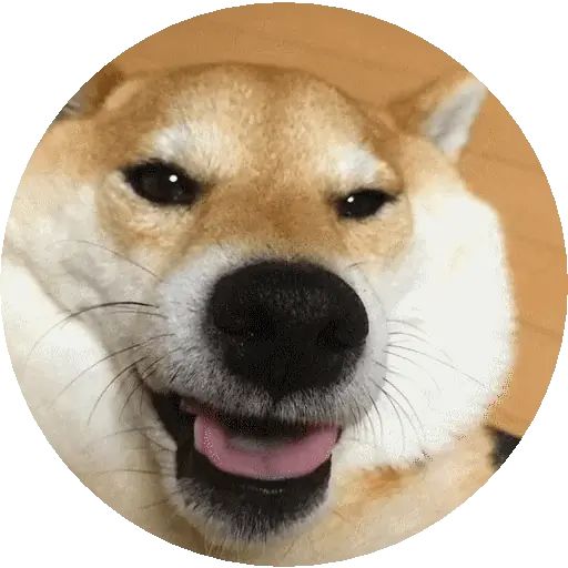 Sticker “Shiba-3”