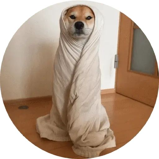 Sticker “Shiba-4”