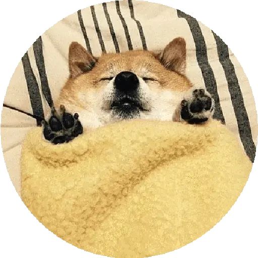 Sticker “Shiba-5”