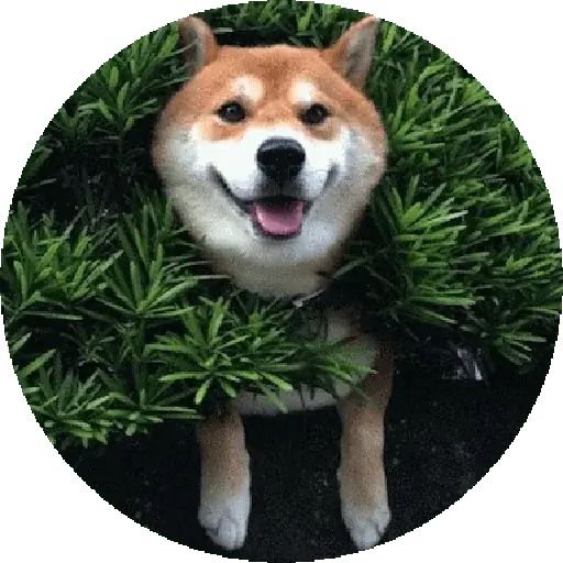Sticker “Shiba-7”