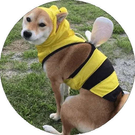 Sticker “Shiba-8”