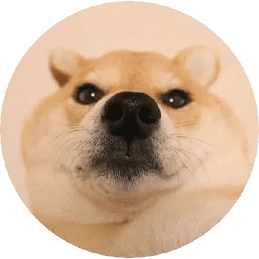 Sticker “Shiba-9”