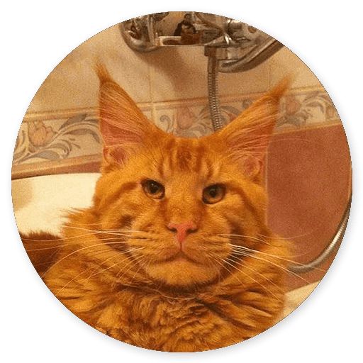 Sticker “Cat Meow-10”