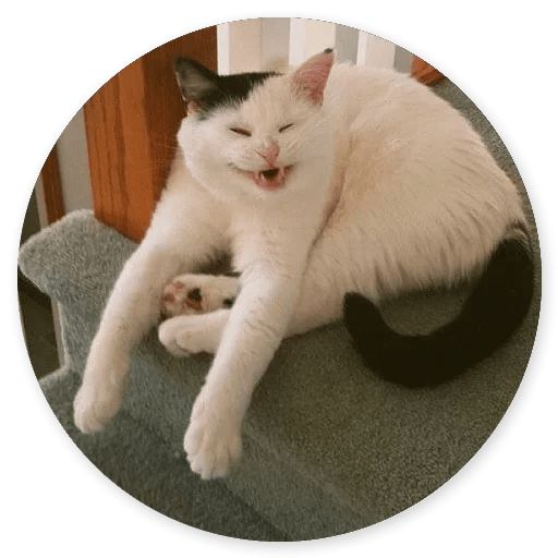 Sticker “Cat Meow-12”