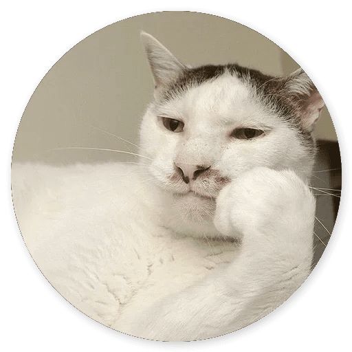Sticker “Cat Meow-3”