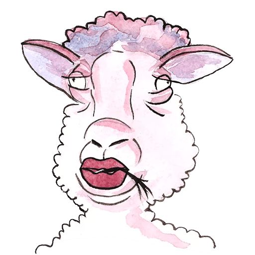 Sticker “Sheep-7”