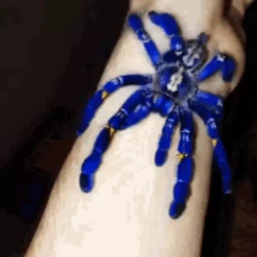 Sticker “Spiders-8”