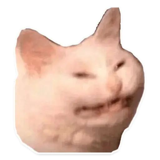 Sticker “Suffering Cats-4”