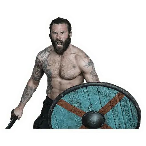 Sticker “Vikings-9”