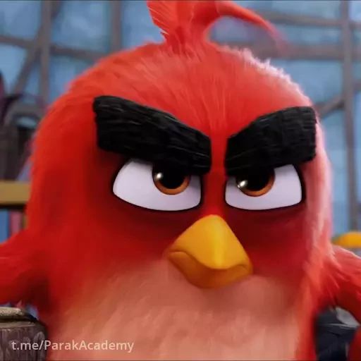 Sticker “Angry Birds-9”