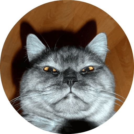 Sticker “Cats by Smol (2)-1”
