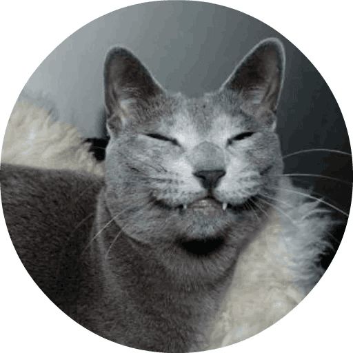 Sticker “Cats by Smol (2)-2”
