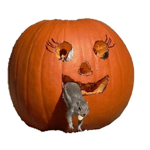 Sticker “Halloween-9”