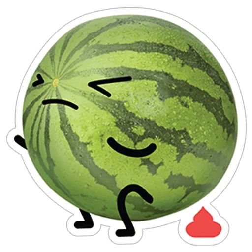 Sticker “Watermelon-7”