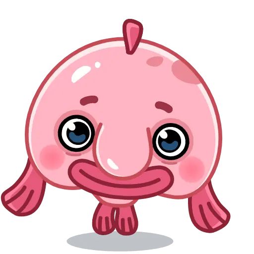 Sexy Blobfish