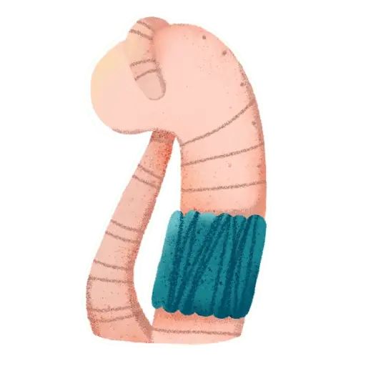 Sticker “Rain Worm-4”