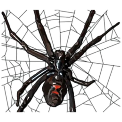 Sticker “Spiders Time-10”