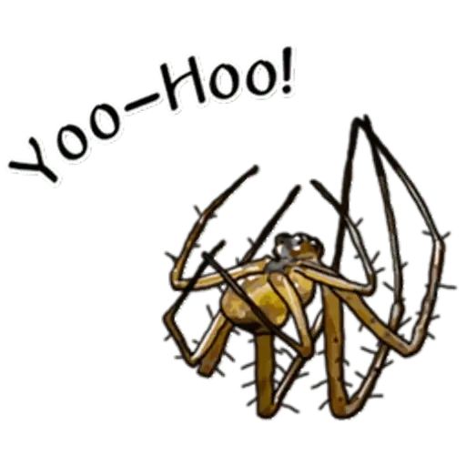 Sticker “Spiders Time-12”