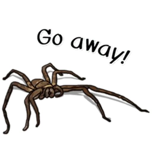 Sticker “Spiders Time-3”