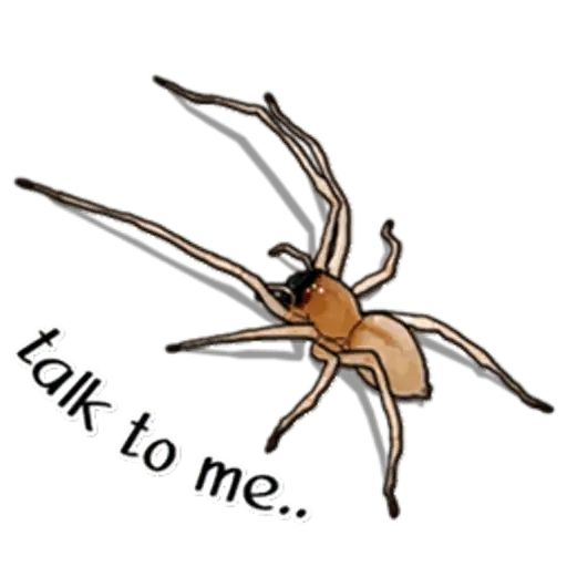 Sticker “Spiders Time-5”