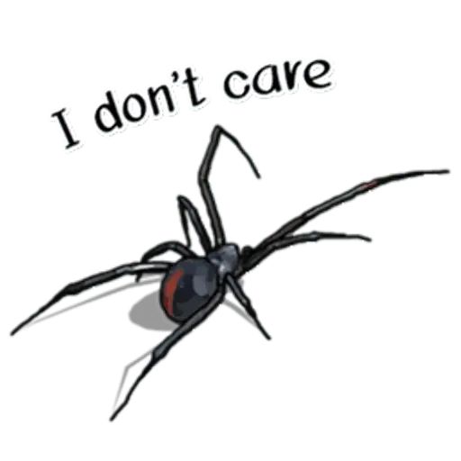 Sticker “Spiders Time-6”