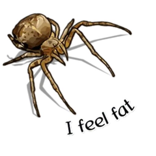 Sticker “Spiders Time-7”