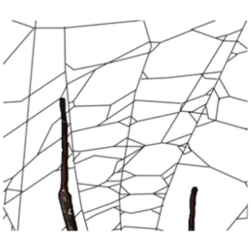 Sticker “Spiders Time-9”