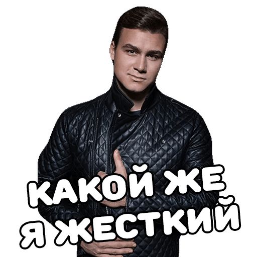 Стикер «Николай Соболев-9»