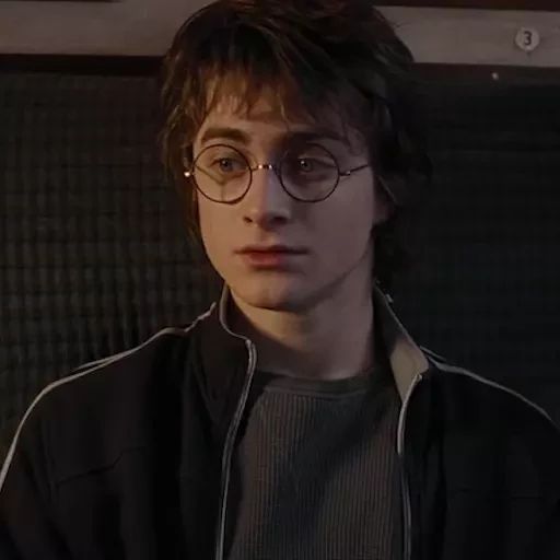 Sticker “Garry Potter 4-11”