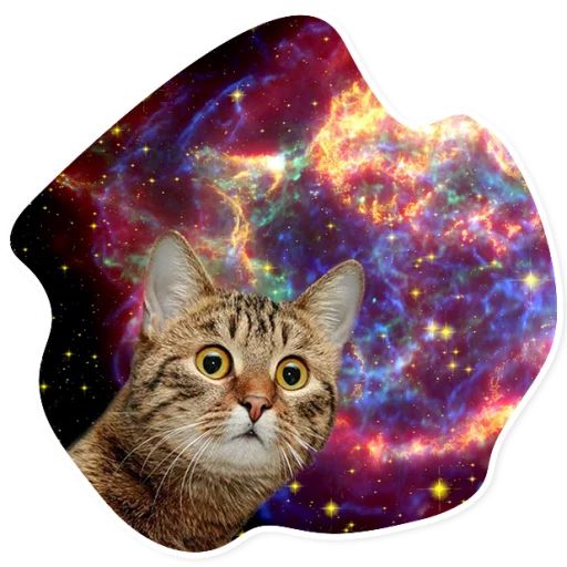 Sticker “Space Cats-1”