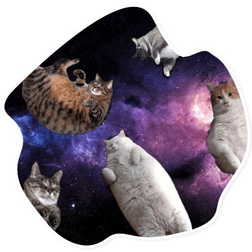 Sticker “Space Cats-10”