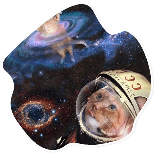 Sticker “Space Cats-11”