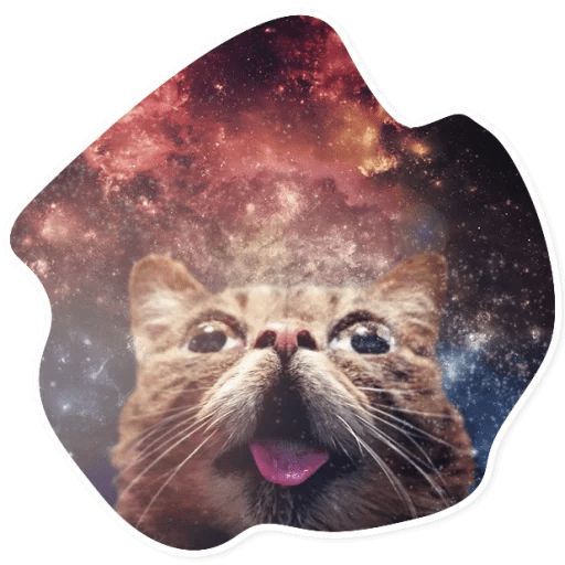 Sticker “Space Cats-12”
