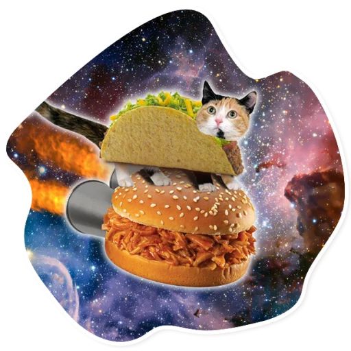 Sticker “Space Cats-3”