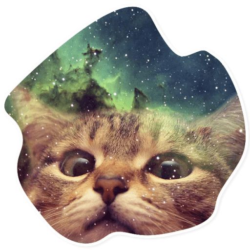 Sticker “Space Cats-6”