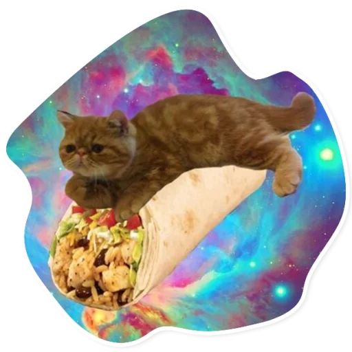 Sticker “Space Cats-8”