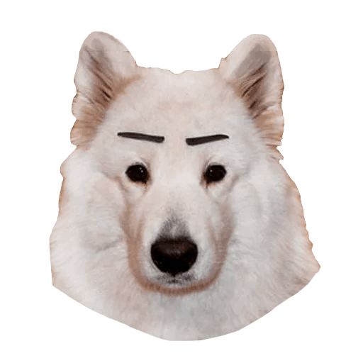 Sticker “Samoyed Dog-5”