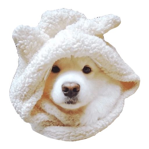 Sticker “Samoyed Dog-9”