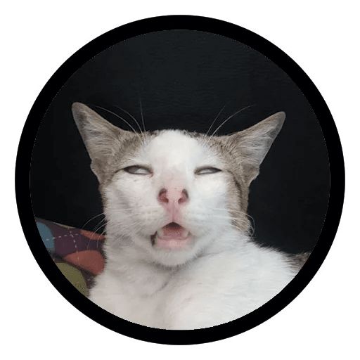 Sticker “Funny Cats-6”