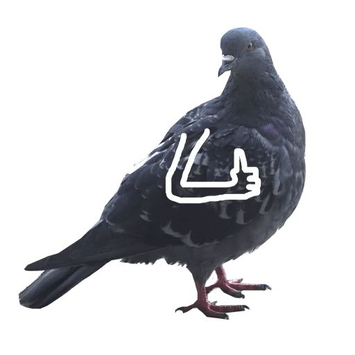 Sticker “Pigeon With Hands-10”