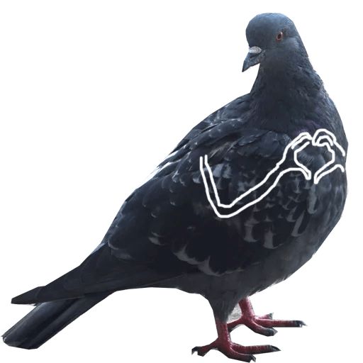 Sticker “Pigeon With Hands-3”