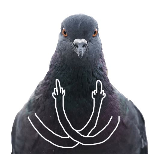 Sticker “Pigeon With Hands-6”