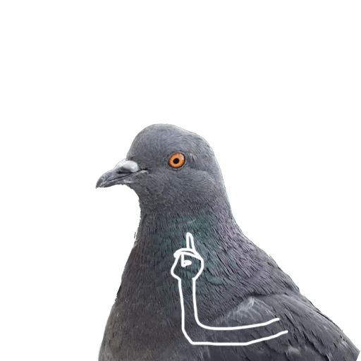 Sticker “Pigeon With Hands-8”