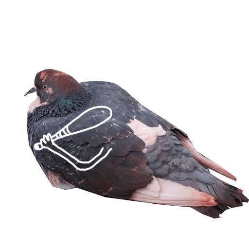 Sticker “Pigeon With Hands-9”
