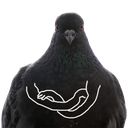“Pigeon With Hands” stickerpack